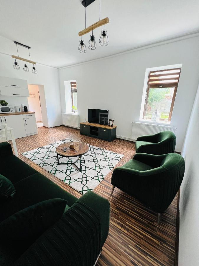 Apartament In Regim Hotelier King Mediaş מראה חיצוני תמונה
